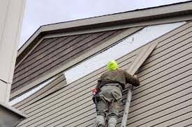 Best Custom Trim and Detailing for Siding  in London, CA